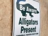 Alligator Warning Sign RV Art