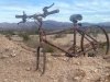 Bike Art