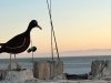 Bombay Beach