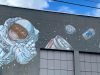 space monkey