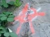 Westfir Trail Run Graffiti
