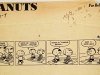 111622w_schulz-1692