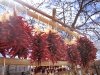 Dried chiles hanging in Santa Fe, NM
