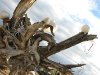 Slab City Grotto Art Garden
