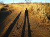 Elfrida Desert Sunrise Shadow Dog