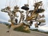 Slab City Shoe Tree