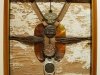 J Fred Woell Found Art Metal Museum Exhibit