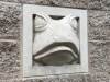 frog relief
