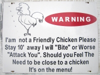 Beware of Chicken at the Desert Inn