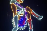 031726w_hoco-tucson-6375