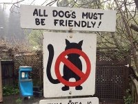No Cats at Stumptown Brewery