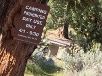 Lake Shastina Camping Closed, Day Use Only