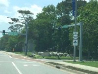 Pieway 60 Ends in Virginia