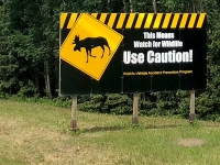 Wildlife Warning Sign on Highway 97, Brittish Columbia