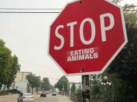 Stop Eating Animals, Neslon BC