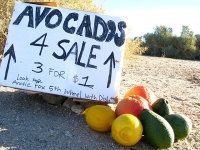 Rene's Slab City Fruit Stand