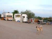 Slab City Dog Barks