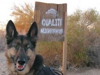 Slab City Quality Neighborhood Niland, CA