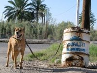 Slab City Quality Neighborhood Niland, CA