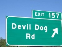 Devil Dog Road Near Williams, AZ