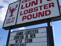 Lunt's Lobster Pound in Bar  Harbor, ME