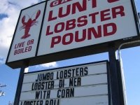 Lunt's Lobster Pound in Bar  Harbor, ME
