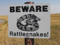 Badlands Warning Sign