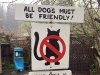No Cats at Stumptown Brewery