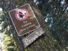 No Tree Cutting Mount Shasta near Weed, CA