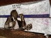 BB King Memorial Banner Beale St. Nashville TN