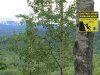 Tumbler Ridge Trail