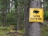 Tumbler Ridge Trail Bear Warning