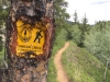 Tumbler Ridge Trail