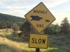 Marmot Crossing Great Basin National Forest