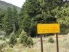 Trailers not advised