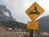 Athabasca Glacier Icefields Warning