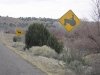 Beware of Tractors and Cows Near Cochiti Lake, NM