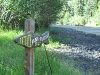 Lake Fork of the Gunnison River catch and release fishing at Vickers ranch