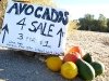 Rene's Slab City Fruit Stand