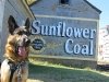 Old Sunflower Coal Sign and Wyatt, Texas Dog