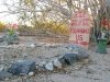 Slab City Pet Cemetery Grave Marker