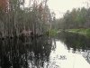 Paddling Okefenokee Swamp, Georgia