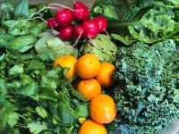 Oakland Farmers Market