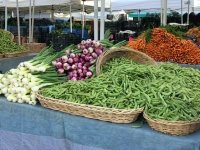 Oakland Farmers Market