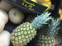 Seven Dollar Pineapple in Watson Creek, BC
