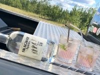 Skagway Distillery Alaska Angostora Gin and Tonics