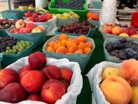 Nelson, BC Farm Fresh Produce