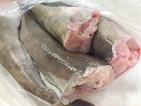 Fresh Cod, Quinalt Pride Seafoods, Taholan WA Fish Market