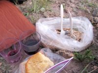 Camping dinner of leftover pasta and Three Legged Red wine