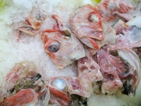 Fish heads in Seattle Chinatown
